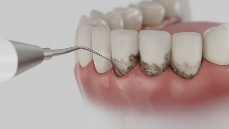Reliable Dental contractor in Barberton, WA by Dentist Open Now